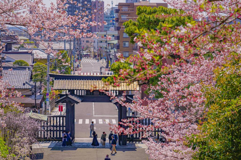 people-walking-street-spring